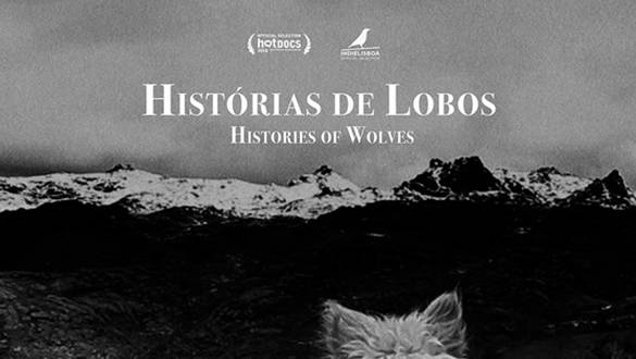 Histories of Wolves