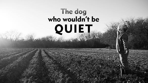 The Dog Who Wouldn't Be Quiet